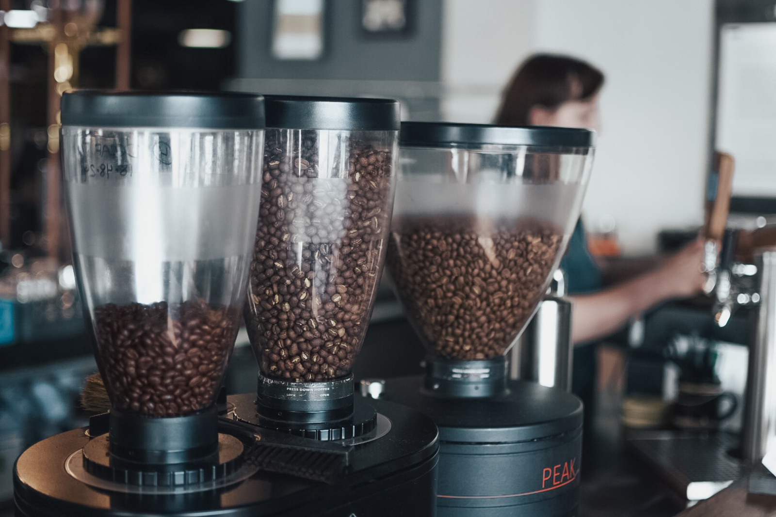 Carolina Hellal pays a visit to Corvus Coffee Co. and writes about what she loves about this Denver coffee shop.